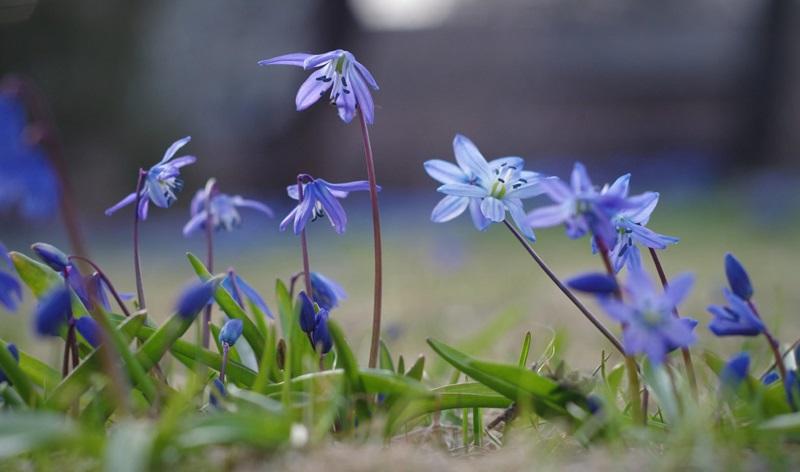 Березень у Полтаві тепліший за норму
