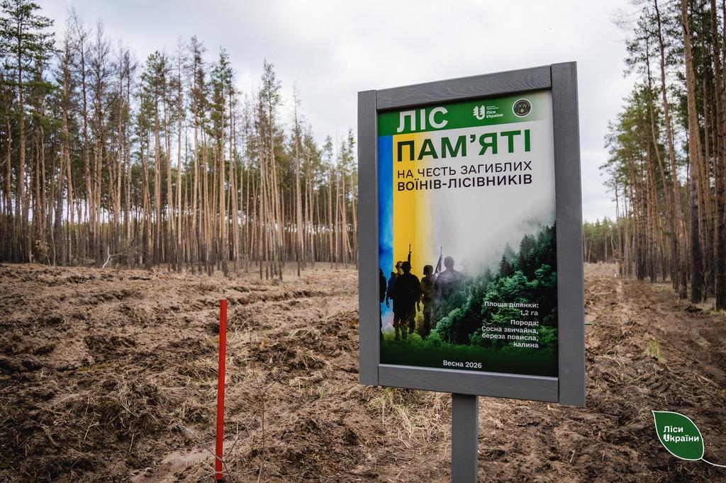На Полтавщині висадили ліс пам’яті воїна-лісівника Руслана Балі