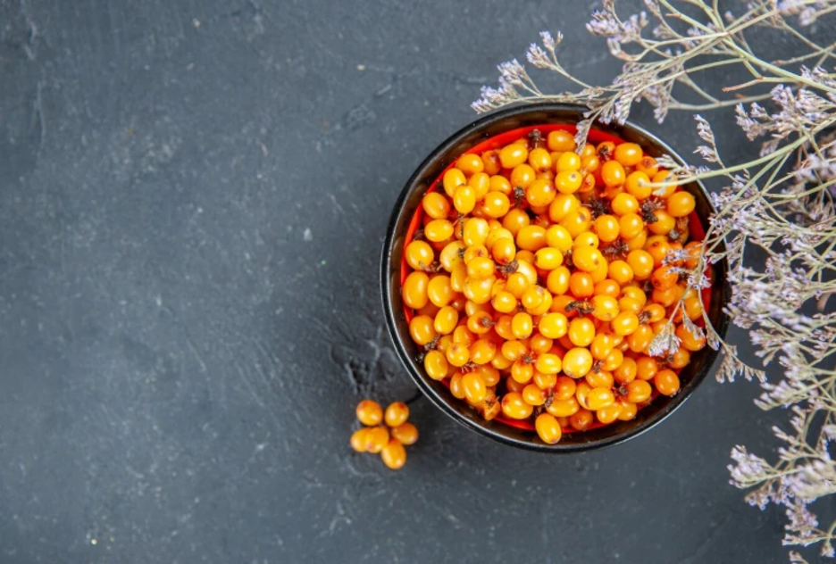 3 варіанти, де можна здати обліпиху для бізнесу