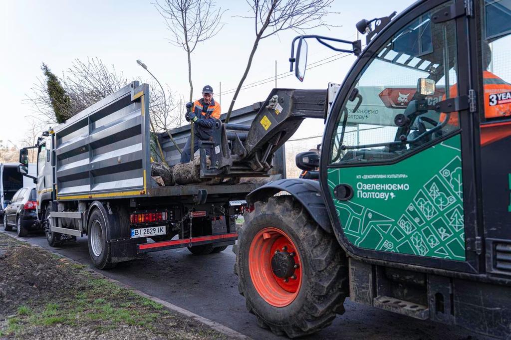 Минулого тижня у Полтаві висадили 33 дерева