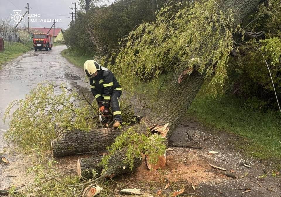 Полтавою пронеслася негода: на дитину впало дерево