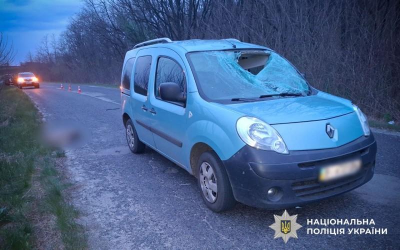 На Полтавщині авто збило козулю: травмувалася 4-річна дівчинка