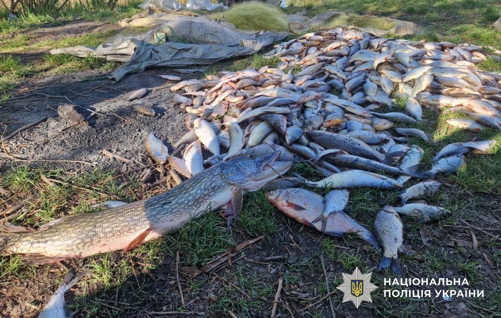 На Полтавщині викрили браконьєрів із уловом на понад 1,3 мільйона гривень