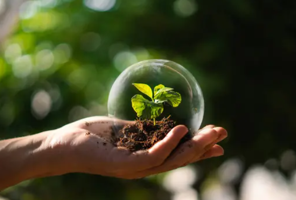 Школи Полтавщини запрошують до участі в екологічному конкурсі EcoSchool2026