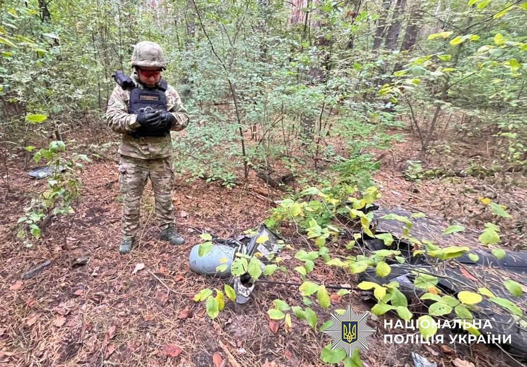 У Полтавській громаді уламками БпЛА пошкоджено будинки