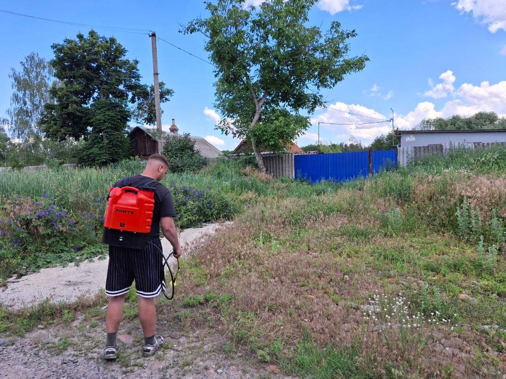 У селах Полтавської громади розпочали обробку територій від амброзії