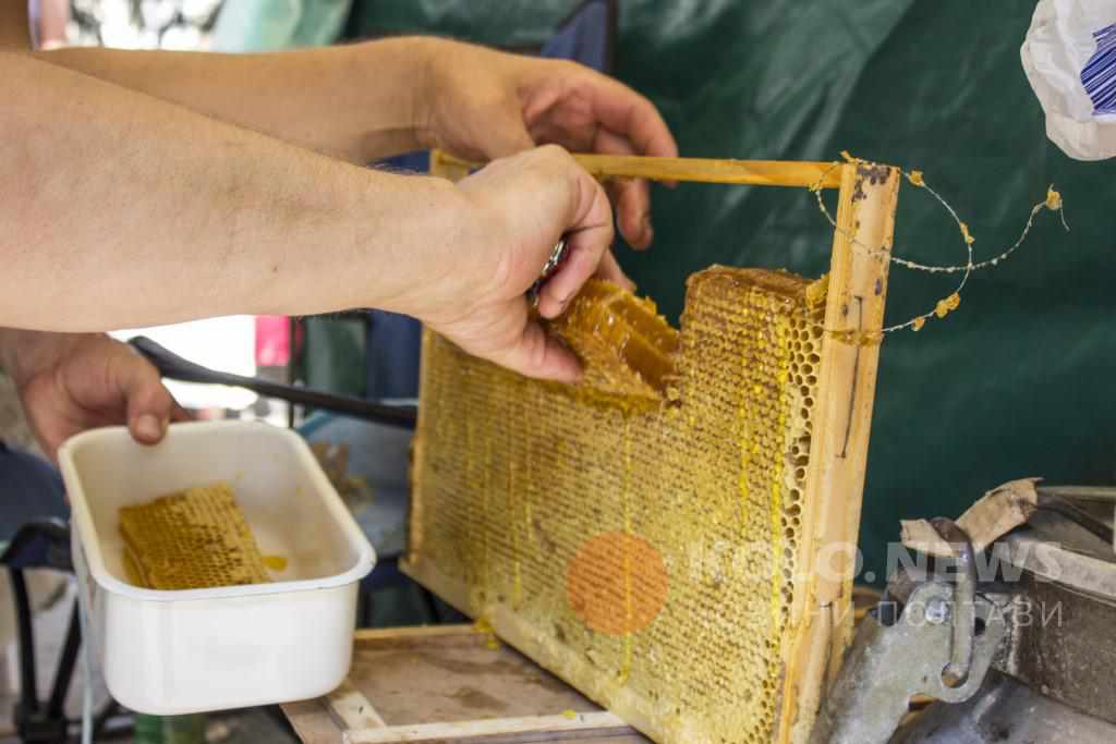 Ціна на мед зросла, проте все одно купують літрами: у Полтаві щорічне Свято меду. ФОТО