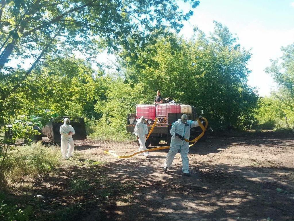 На Полтавщині ліквідували стихійне звалище решток тварин