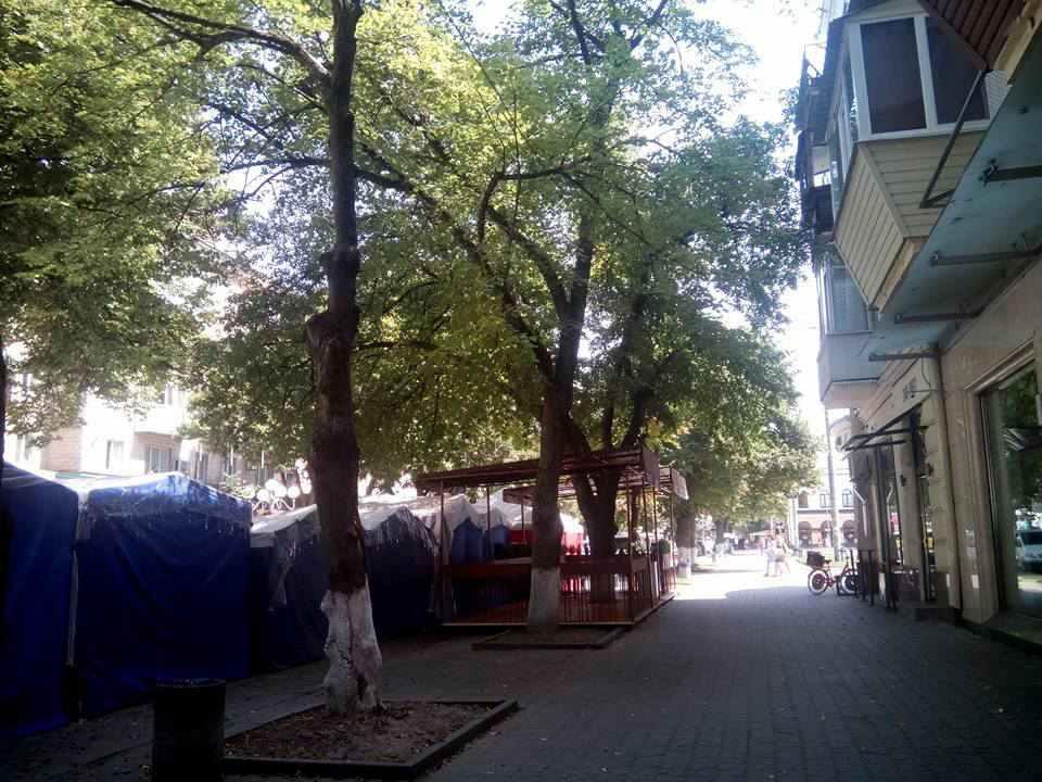 У центрі Полтави сухе дерево може впасти на людей, та цього нікому не видно