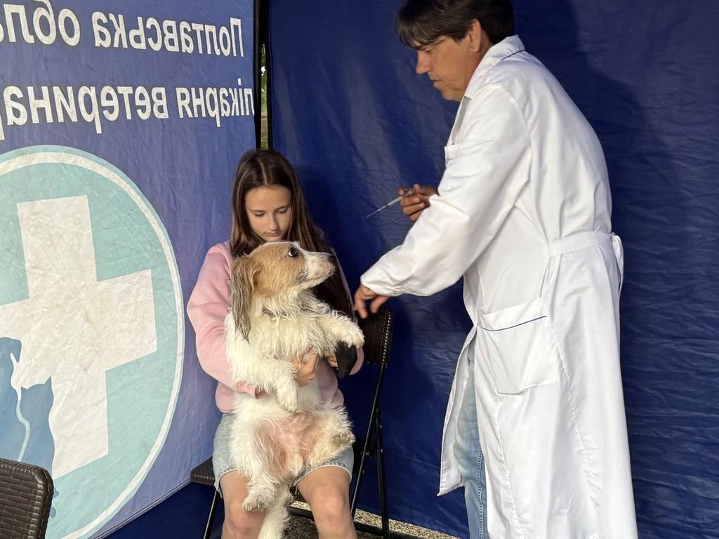 23 липня в Полтаві відбудеться безкоштовна вакцинація собак і котів проти сказу. Куди йти?