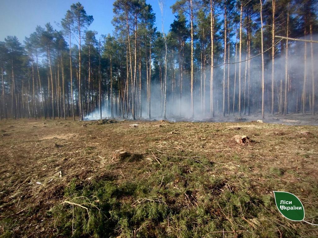 На Полтавщині попереджають про надзвичайний рівень пожежної небезпеки