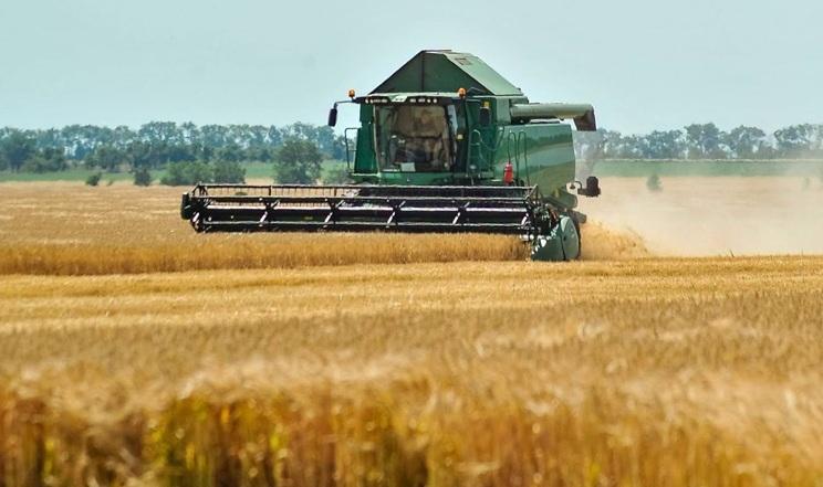 На Полтавщині завершили збирати ранні зернові та зернобобові