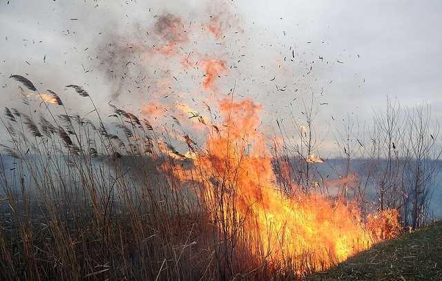 На Полтавщині через падіння уламків дрона загорілася суха рослинність