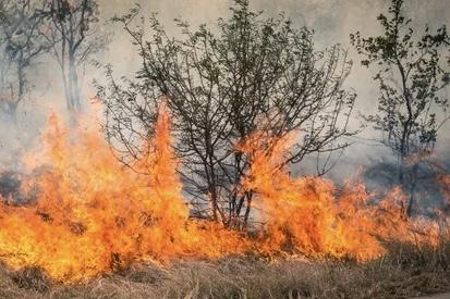 У Полтавському районі впав ворожий БпЛА: загорілися будинок і ліс