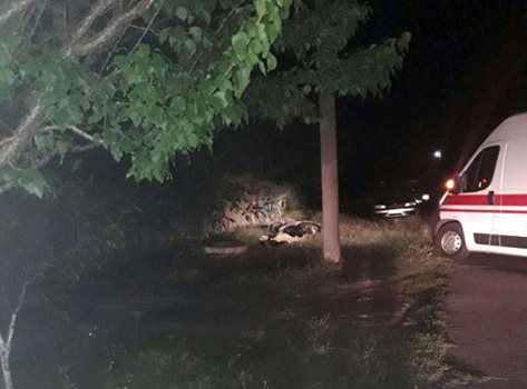 На Полтавщині в ДТП загинув мопедист