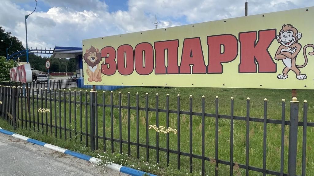 У Котельві лев знову покусав людину