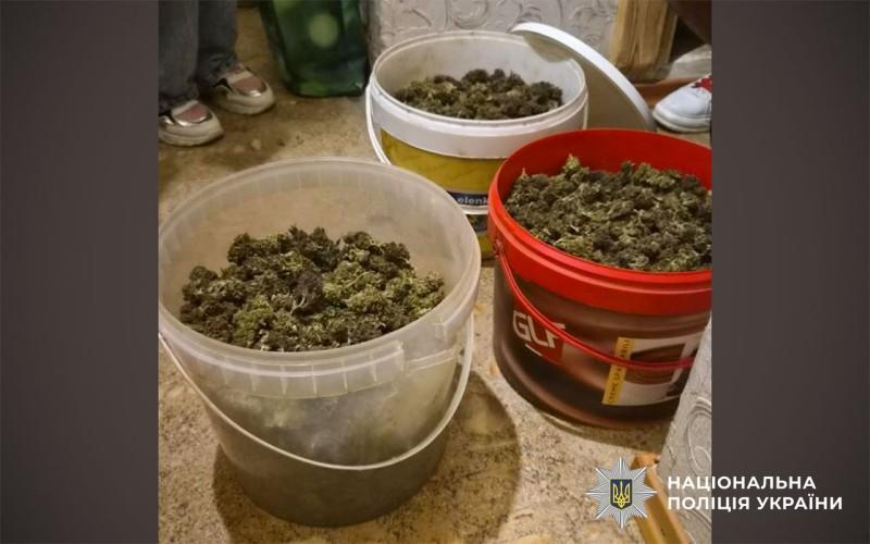 Канабіс, конопля й мак: на Полтавщині викрили 70 фактів вирощування нарковмісних рослин