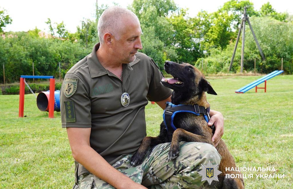 Полтавська поліцейська собака Еліс у рейтингу найкращих в Україні