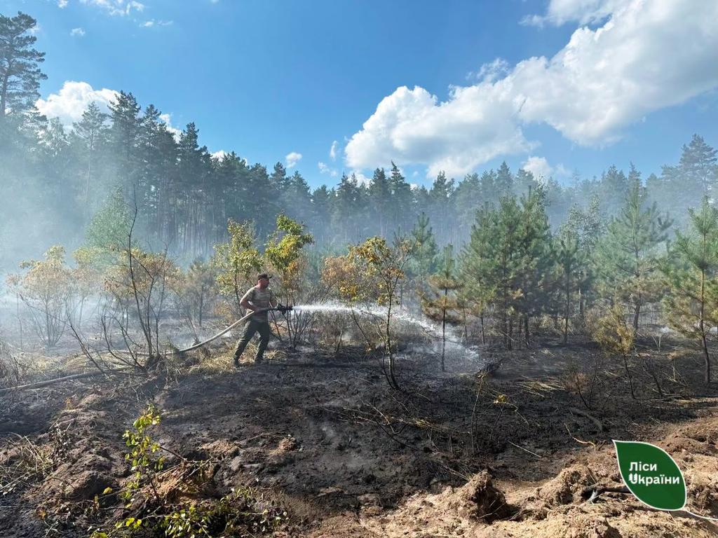 На Полтавщині через падіння уламків дронів вигоріло понад 7 гектарів лісу