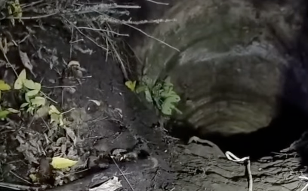 На Полтавщині хлопець упав у 9-метрову яму під час святкування дня народження