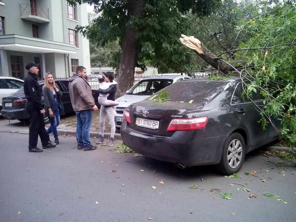 У Полтаві на авто з людьми впало дерево