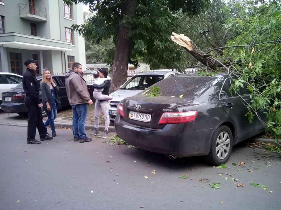 У Полтаві на авто з людьми впало дерево. ФОТО
