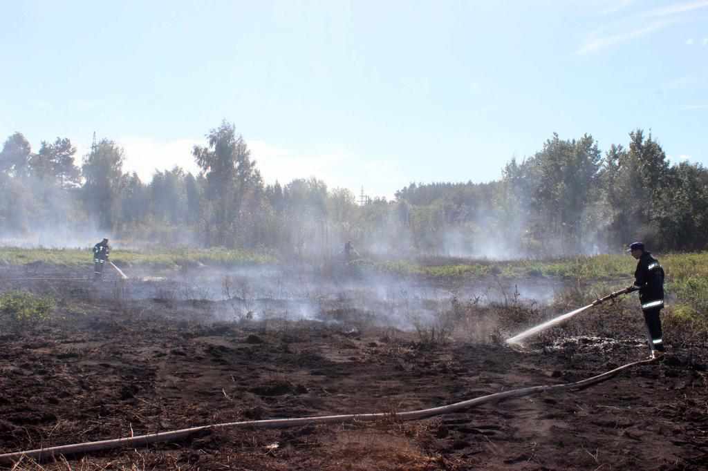 На Полтавщині горить торф у Нижньосульському природному парку