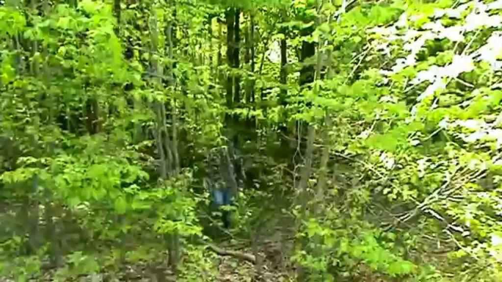 У Полтаві хлопчик заблукав у лісі