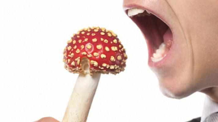 Дівчина з Полтавщини отруїлася супом з грибами