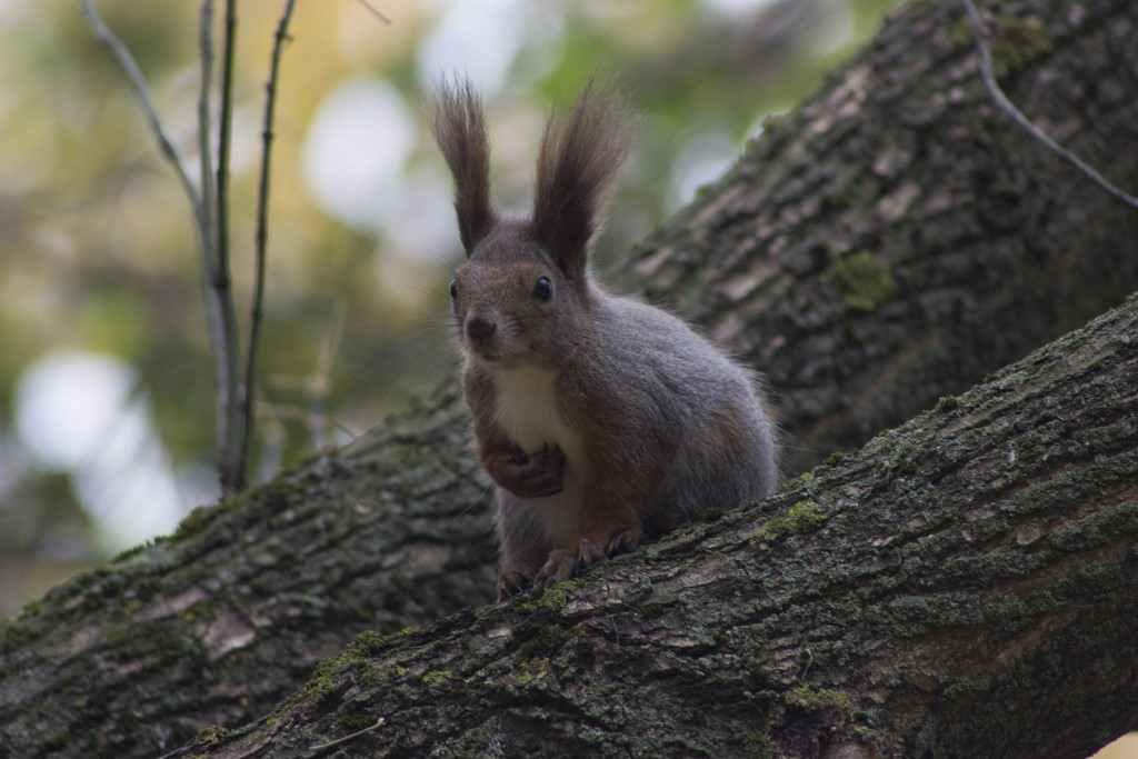 Осінь у Полтаві. ФОТОРЕПОРТАЖ