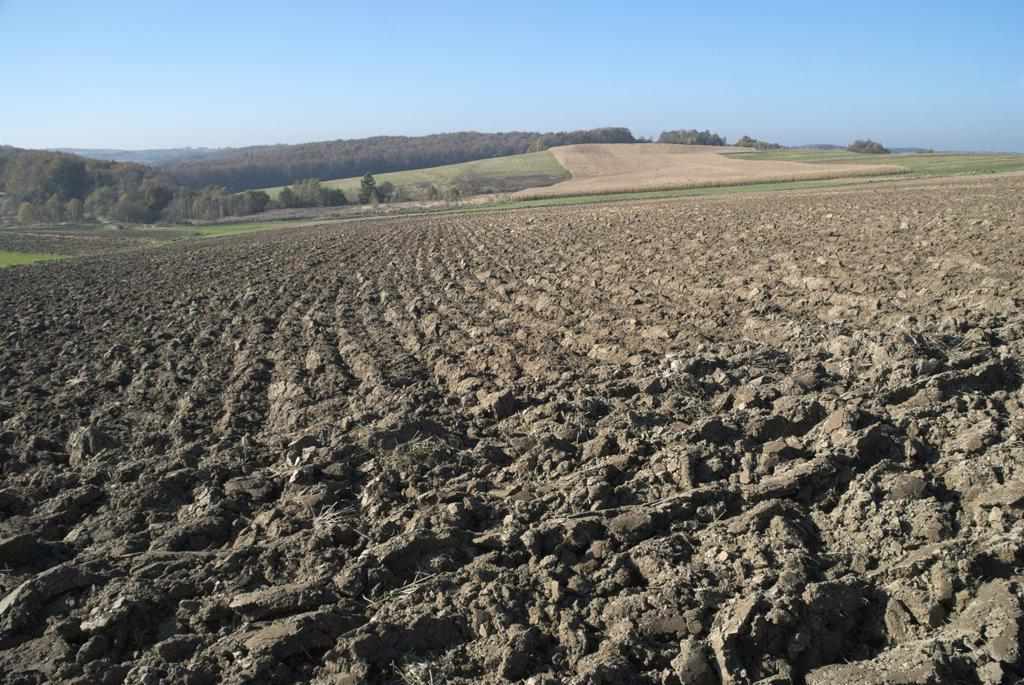 На Полтавщині в агрофірми відсудили 11 га землі на 27 мільйонів гривень