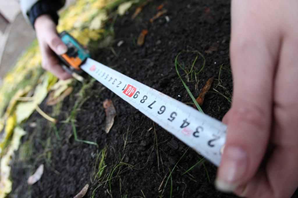 Землі Полтавщини: права оренди виставлені на земельні торги