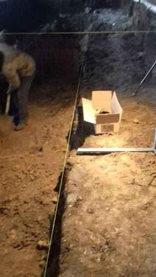 На Полтавщині знайшли рештки людських кісток часів Другої світової війни