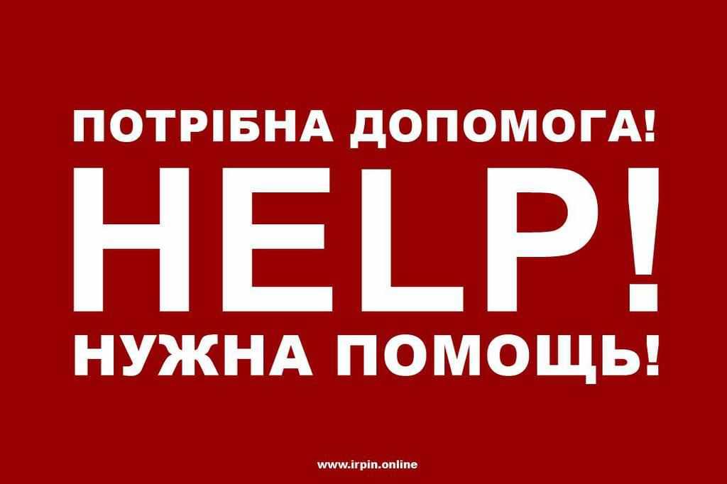 Жінці і її 4-річному сину, яких збив автомобіль у Лохвиці, потрібна допомога