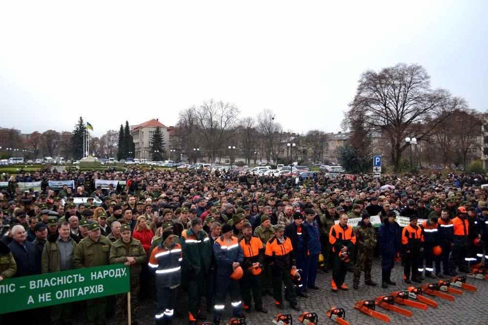 В Україні ліс хочуть передати іноземним фірмам і підприємцям: лісівники вийшли на протести