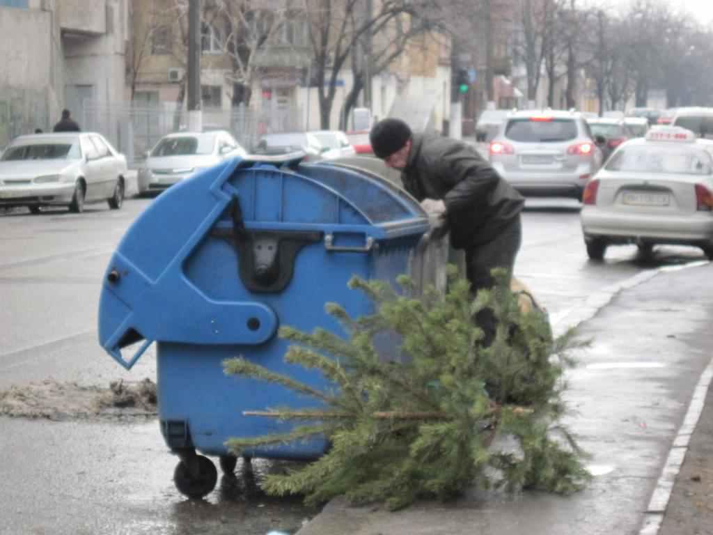 Друге життя ялинок у Полтаві: куди дівають хвойні після свят