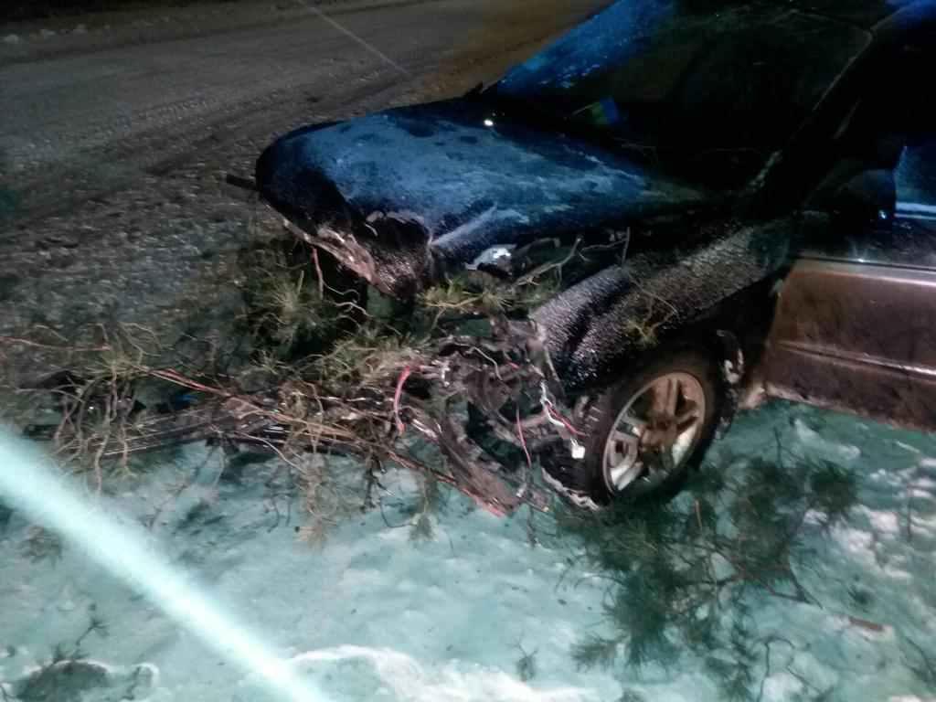 На Полтавщині легковик протаранив дерево: двоє потерпілих