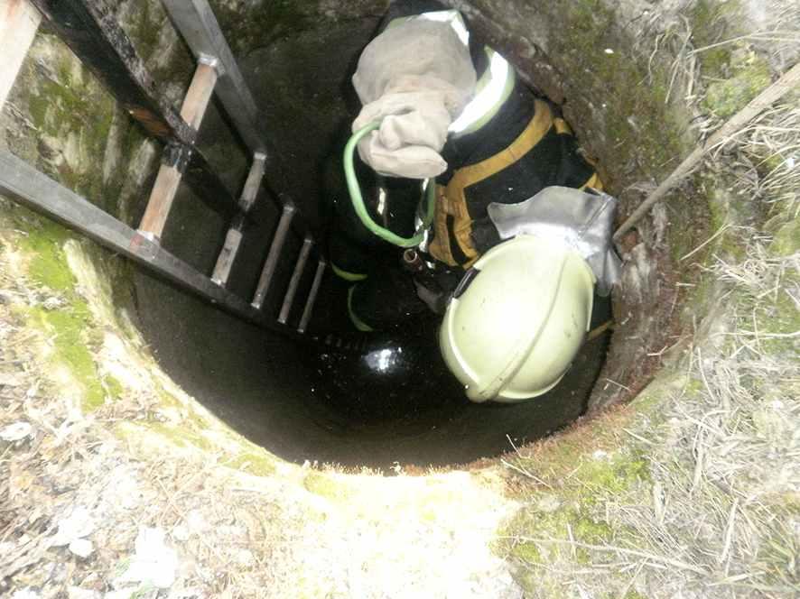 На Полтавщині собака впала у каналізаційний колодязь