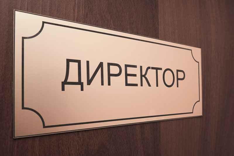 Фізрук-музикант, докторка філософії, біолог, історик, філолог ідуть на директора школи