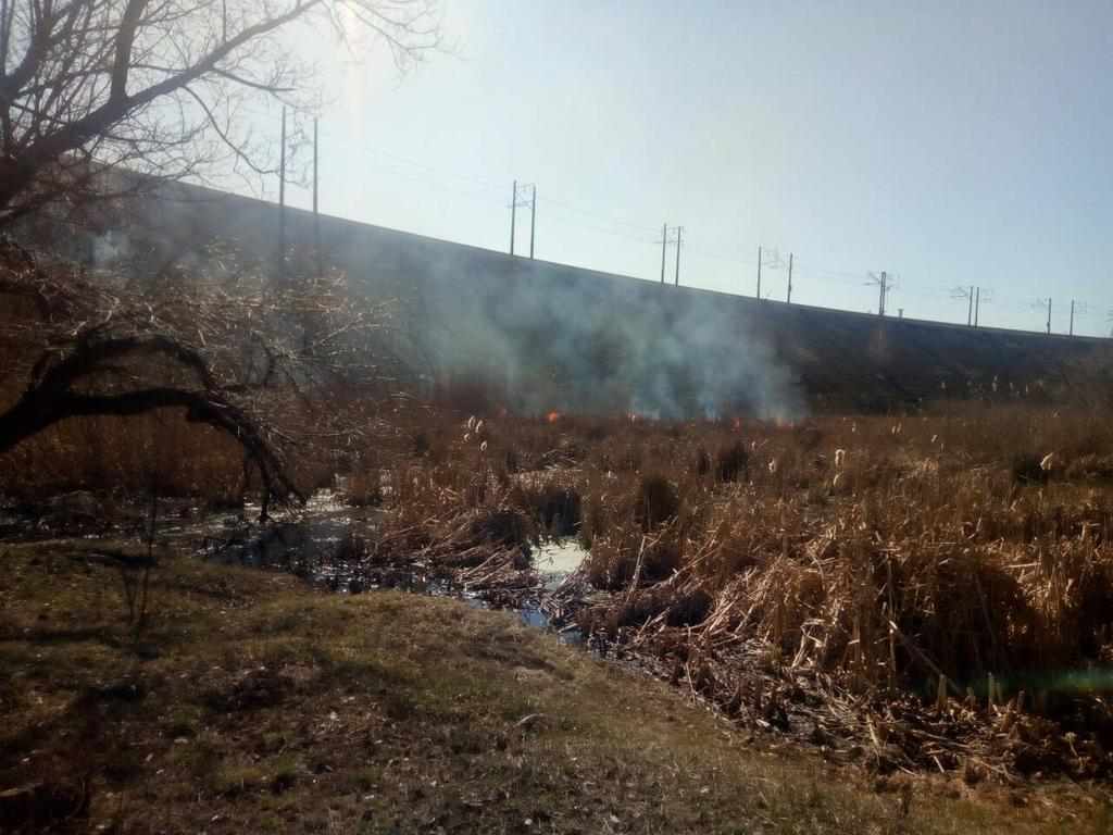 На Полтавщині починає горіти суха трава: пожежники закликають берегти екосистеми