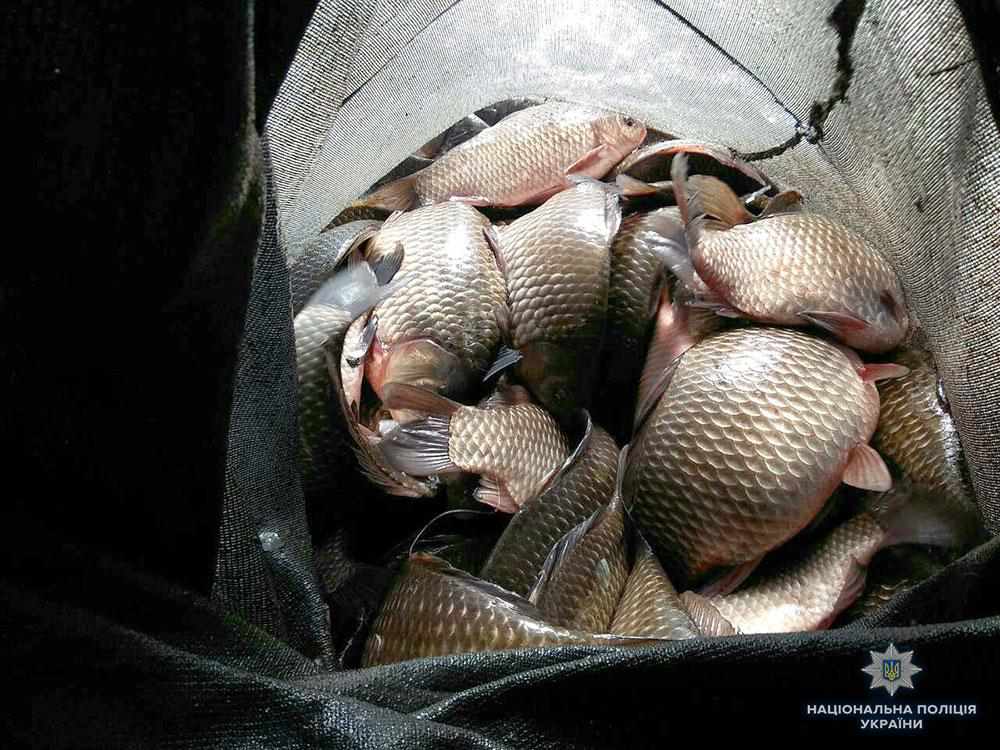 У Полтавській області продовжують ловити порушників нерестової заборони: вартість риби