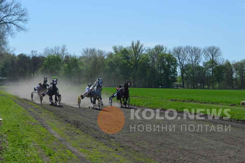 Дібрівський кінний завод і торгова марка «Гармонія» відсвяткували два ювілеї рисистими перегонами. ФОТО