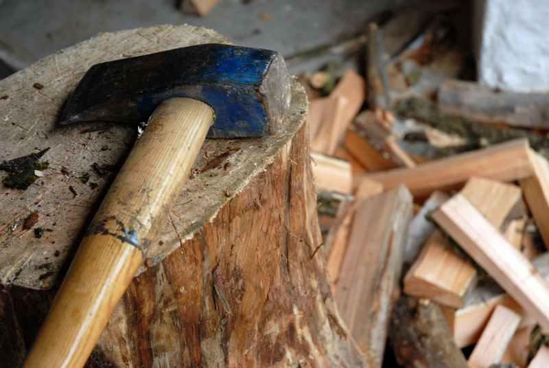 Небезпечні ігри: на Полтавщині дитині ледь не відрубали пальці сокирою