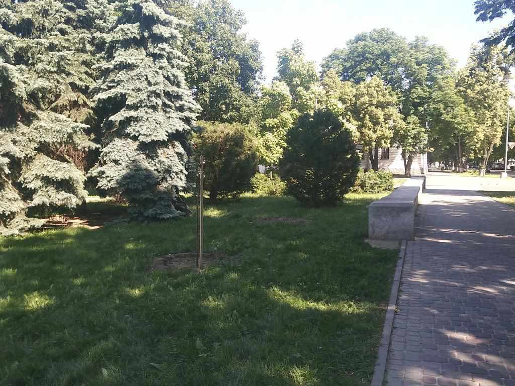 Недовго сакури стояли: подаровані Полтаві представником Японії дерева почали викопувати