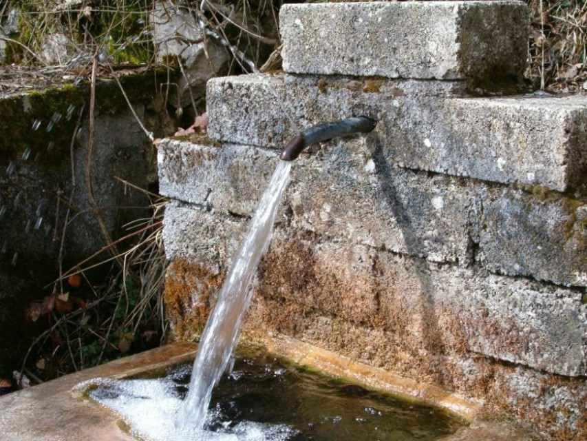 У Полтаві можна брати питну воду  з 521 колонки