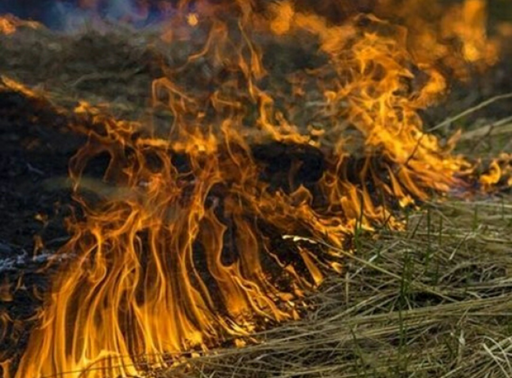 На Полтавщині оголосили пожежну небезпеку на 26-27 червня