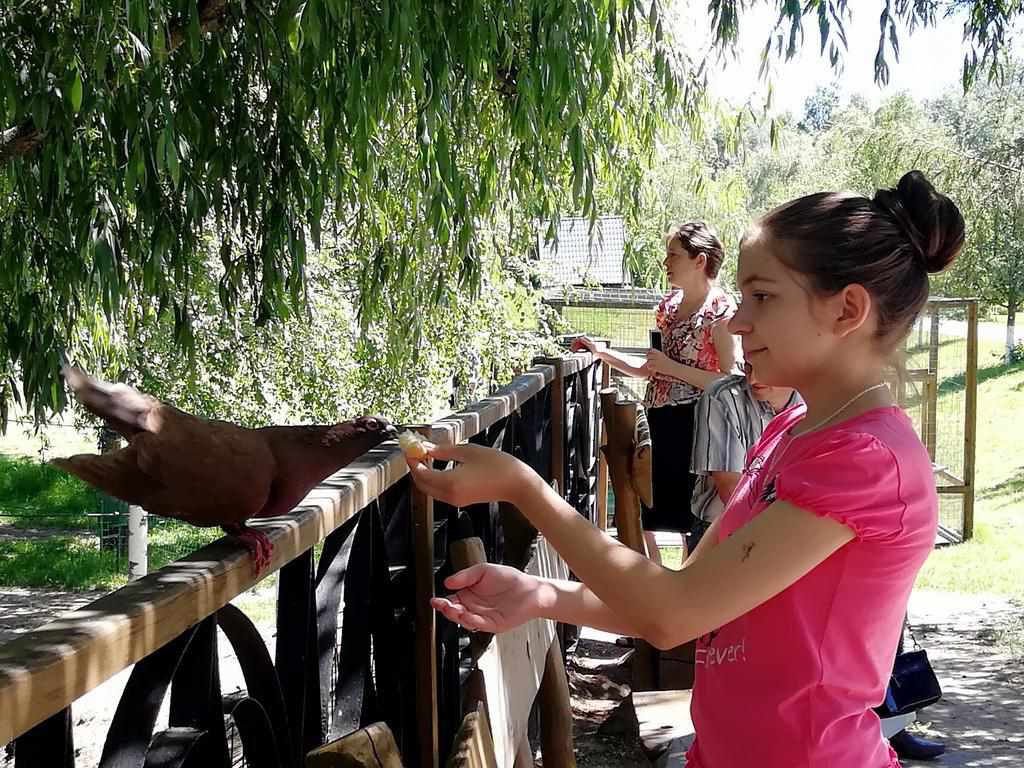 Зоопарки на Полтавщині: де можна відпочити й побачити екзотичних тварин. ФОТО