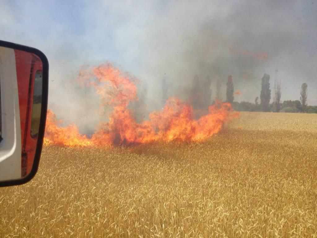 На Полтавщині згоріло поле пшениці
