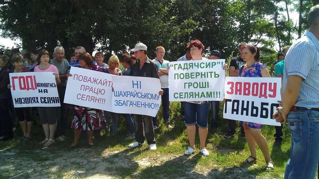 Аграрії мітингують під молокозаводом на Полтавщині