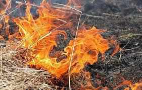 На Полтавщині оголосили пожежну небезпеку
